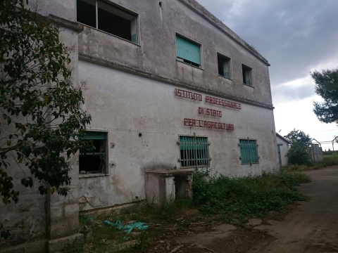 Sannicandro, i resti della scuola per l'Agricoltura: «Era all'avanguardia»